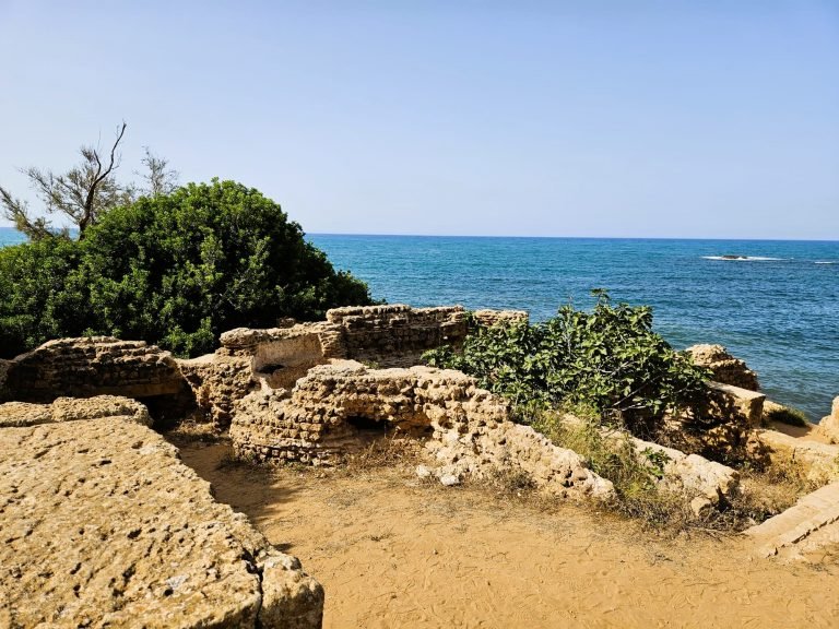 tipaza