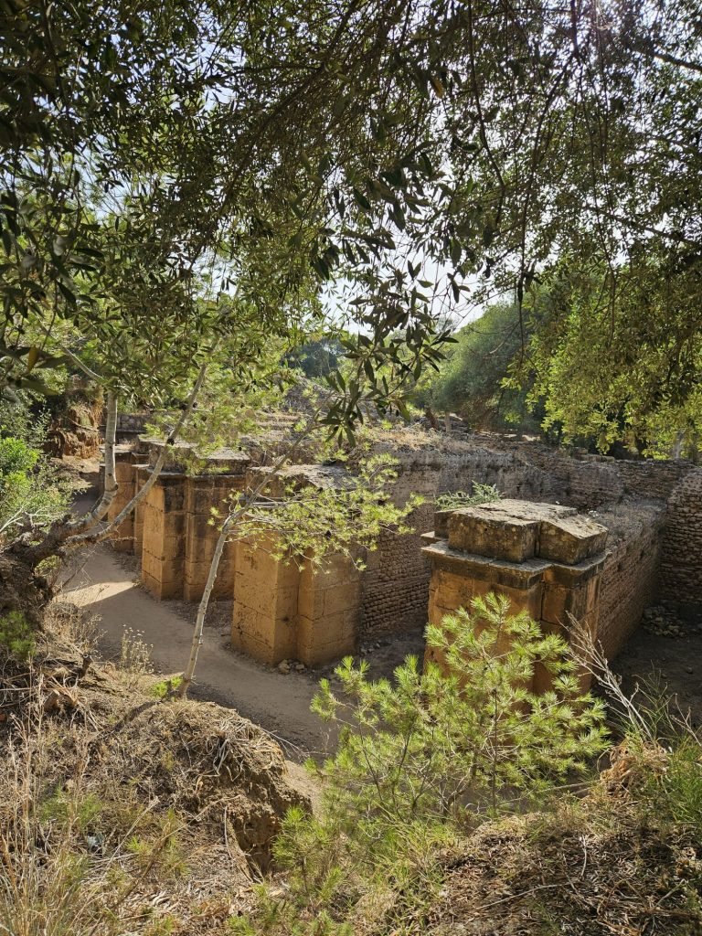 tipaza