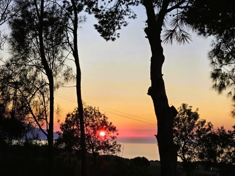 sunset