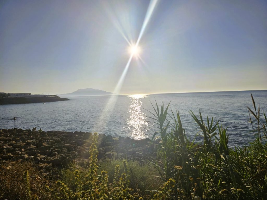 tipaza