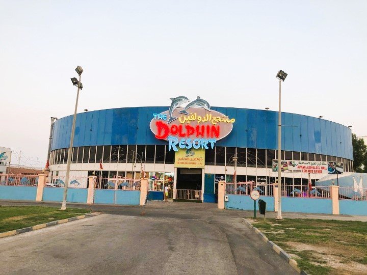 dolphin resort