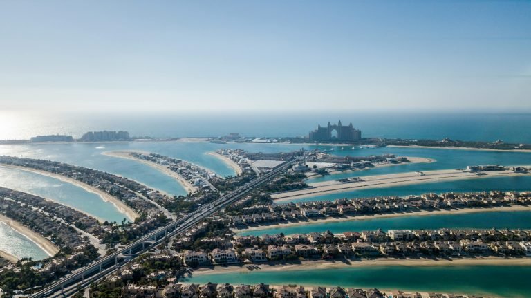 the palm