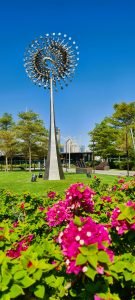 Shahid park
