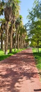 shahid park