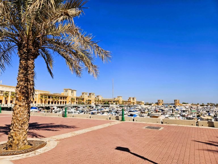 Souq Shark