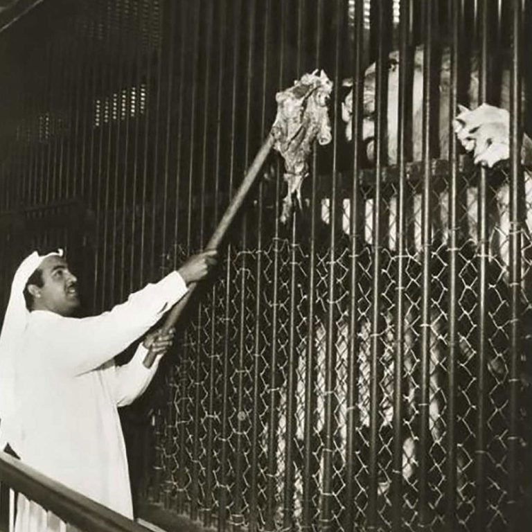 old zoo