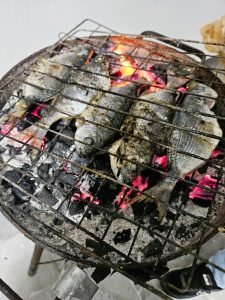 fish