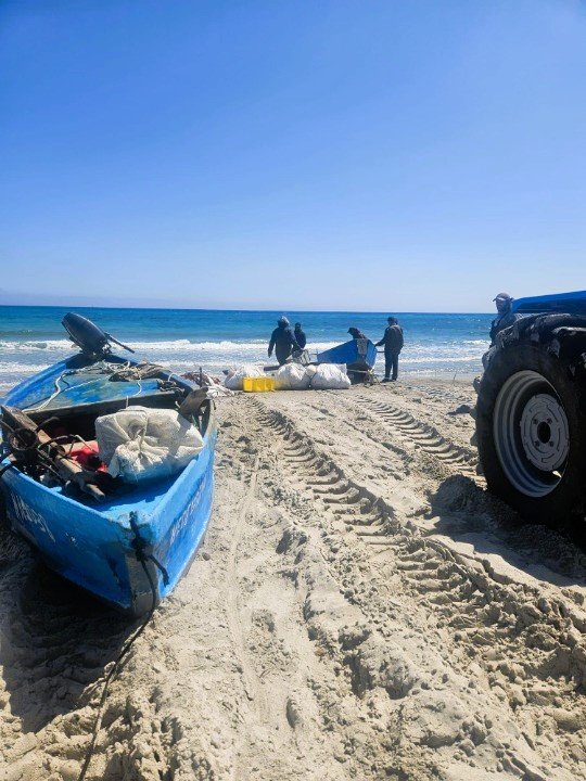 fishing boats