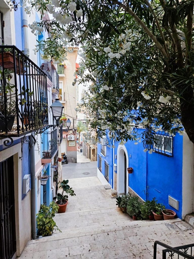 Barrio de Santa Cruz