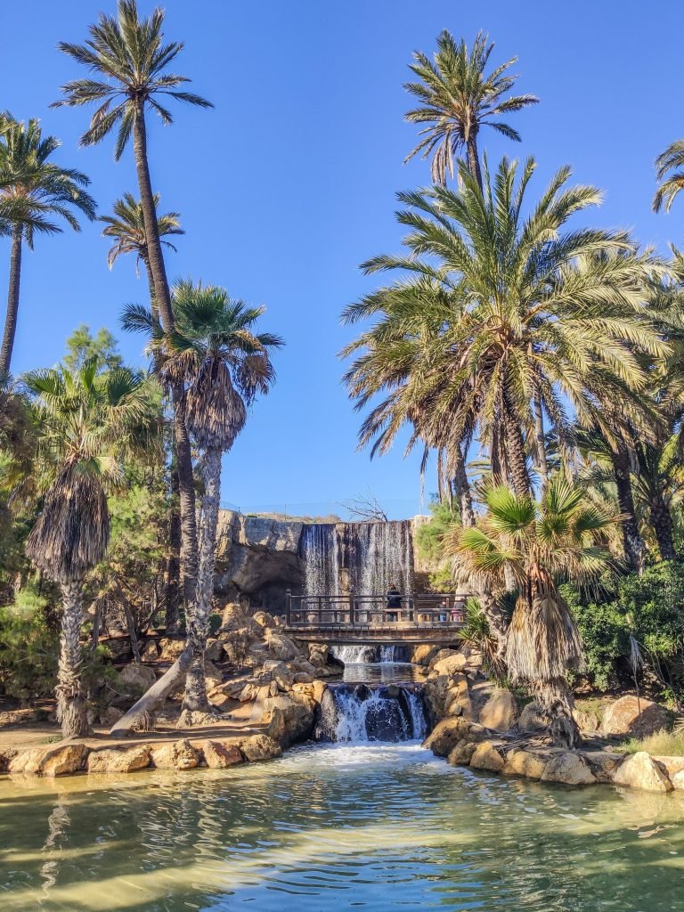 El Palmeral Park